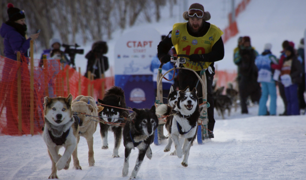 Carrera trineos copia