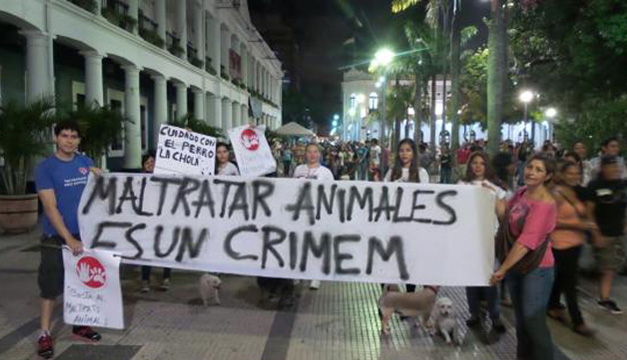 MaltratoAnimal 627-360
