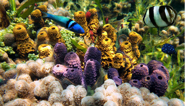 Foto: EFE / Archivo Diario El Mundo