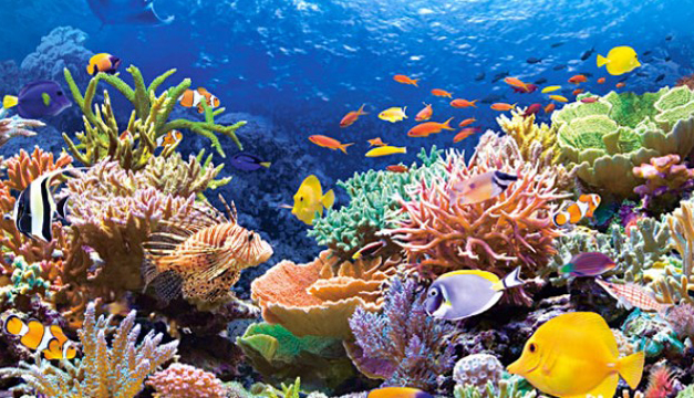 Foto: Archivo Diario El Mundo