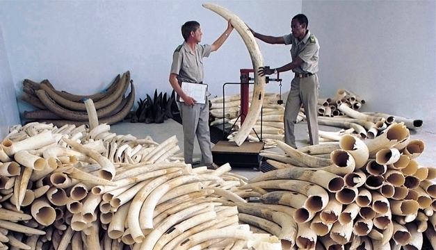 Foto: Archivo Diario El Mundo