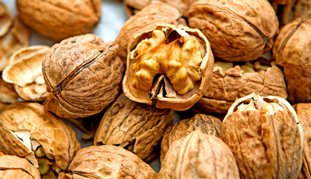 Nueces