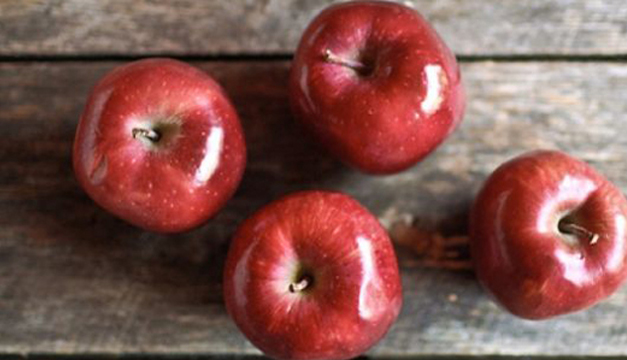 alimentos
