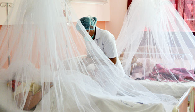 dengue-hospital