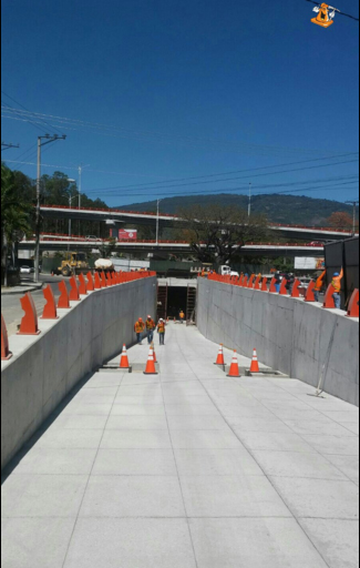 fovial