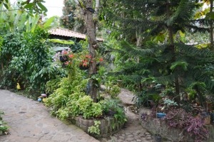 JARDIN