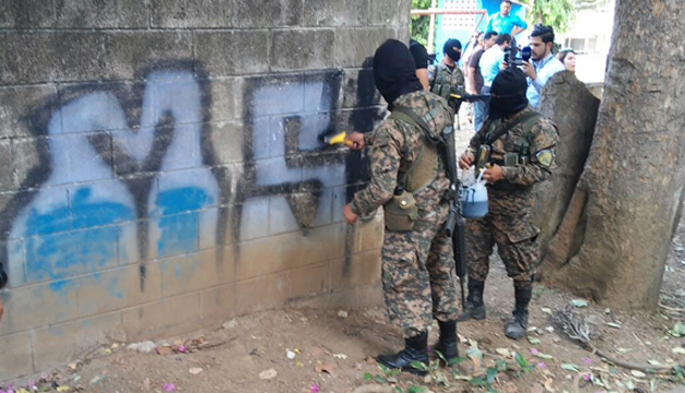 Borrado de graffiti-DEM