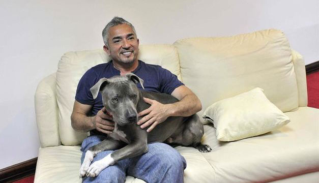 Cesar-Millan-encantador