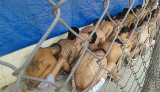 Pandilleros-DEM