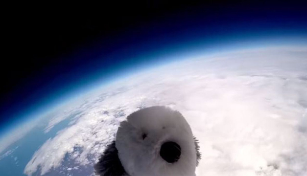 Sam-Perrito espacial