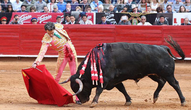 Tauromaquia