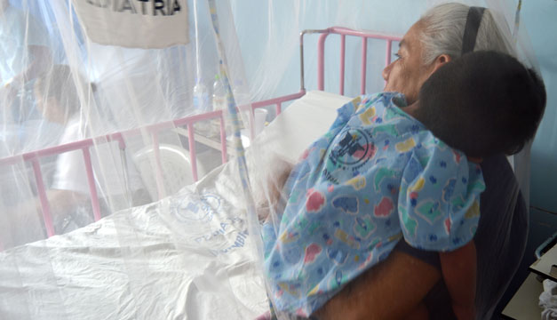 dengue