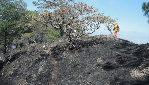 incendio-2
