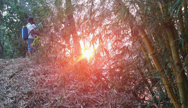 incendio3