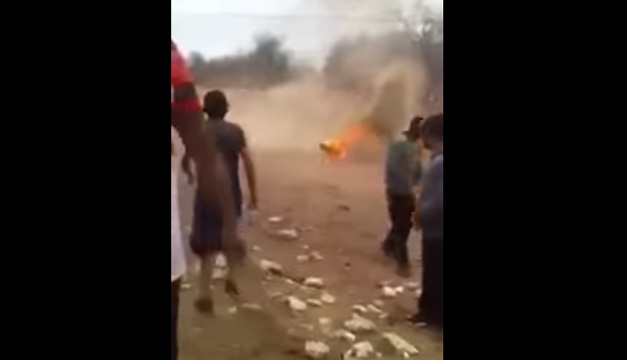 perrito quemado