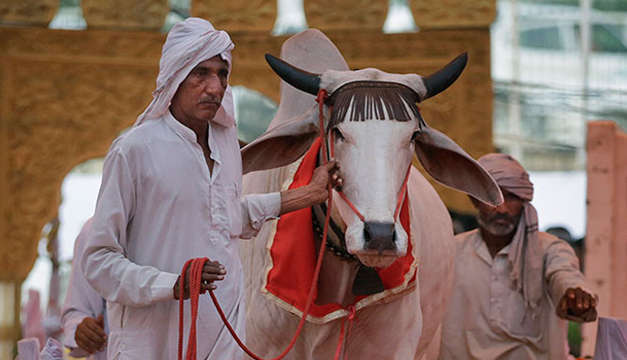 India