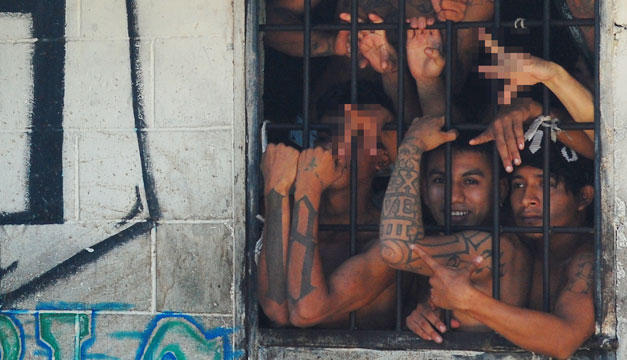 PENAL-PANDILLEROS
