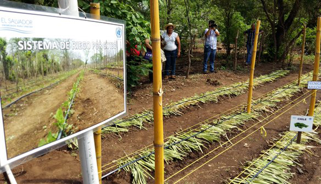 Fotografía: Tomada de @OxfamElSalvador