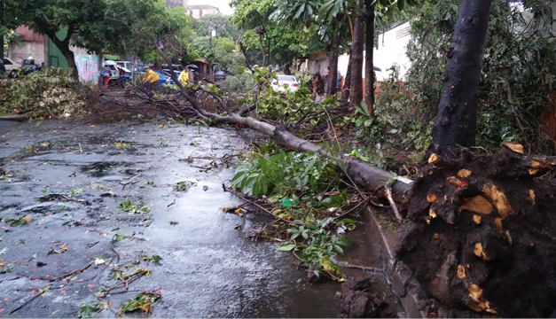 Fotografía: Estragos de lluvias de esta tarde. Archivo Diario El Mundo.