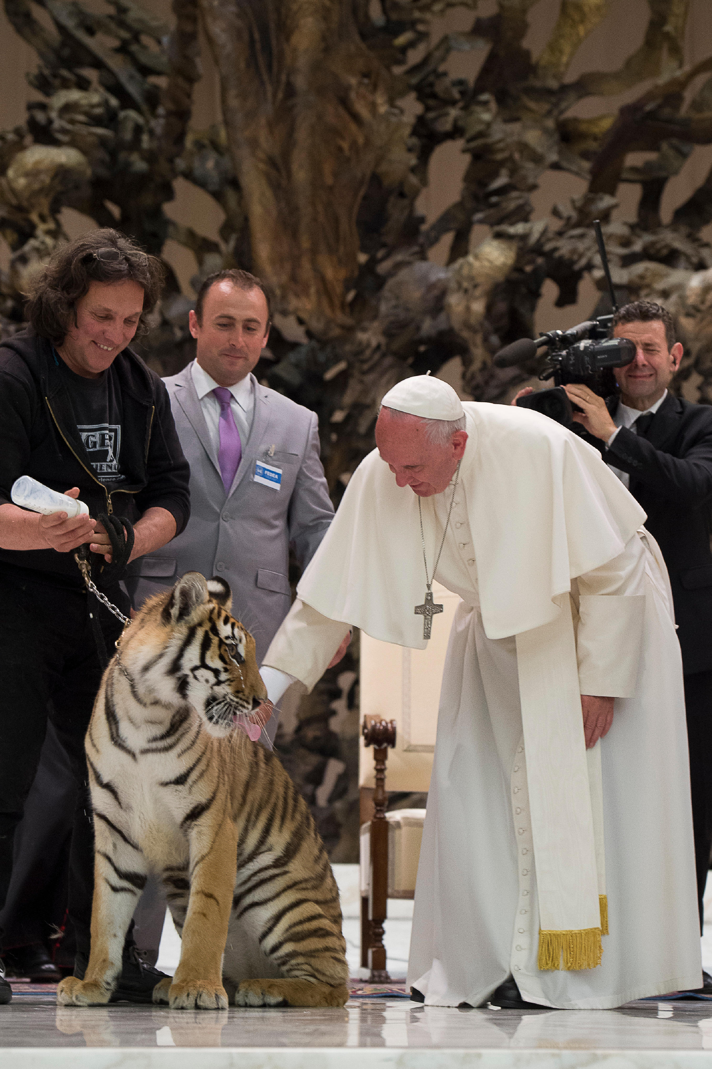 (160616) -- ROMA, junio 16, 2016 (Xinhua) -- El papa Francisco (d-frente) acaricia a un tigre durante su audiencia con los participantes del jubileo del "mundo del espectáculo viajante", en la Ciudad del Vaticano, en Roma, Italia, el 16 de junio de 2016. (Xinhua/Giuseppe Ciccia/Pacific Press/ZUMAPRESS) (da) (dp)