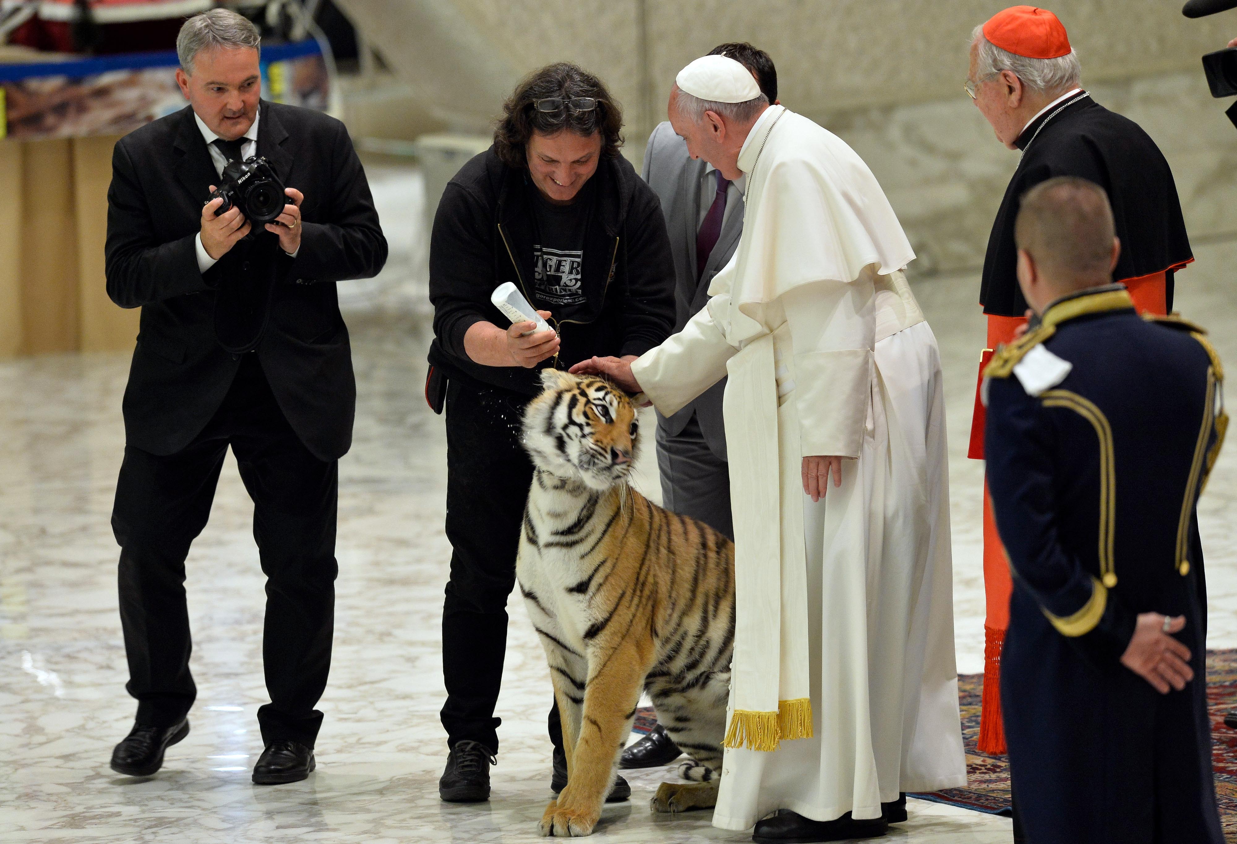 (160616) -- ROMA, junio 16, 2016 (Xinhua) -- El papa Francisco (2-d) acaricia a un tigre durante su audiencia con los participantes del jubileo del "mundo del espectáculo viajante", en la Ciudad del Vaticano, en Roma, Italia, el 16 de junio de 2016. (Xinhua/Giuseppe Ciccia/Pacific Press/ZUMAPRESS) (da) (dp)