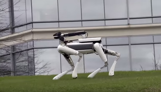 Perro-robot