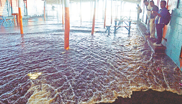 Playa-El-Majahual