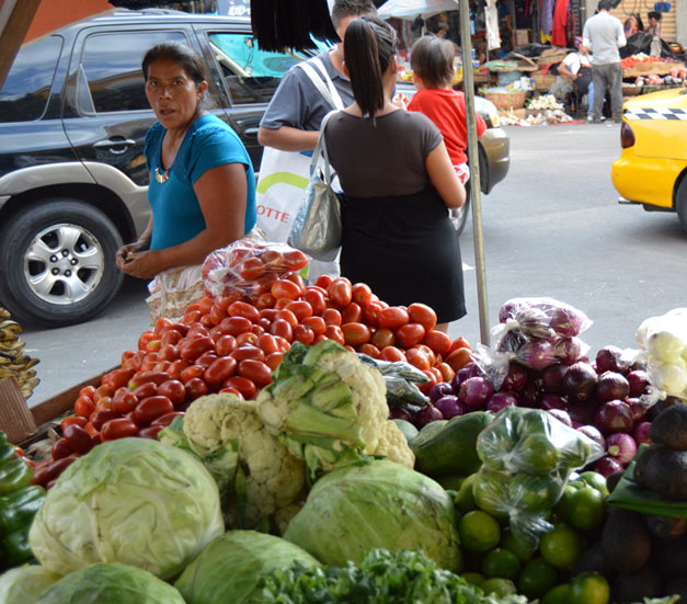Productos-agricolas-2