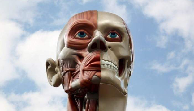 rostro-efe