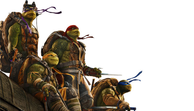 tortugas