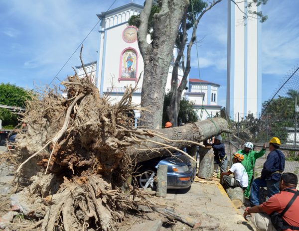 Arbol-caido-iglesia-Don-Rua-2
