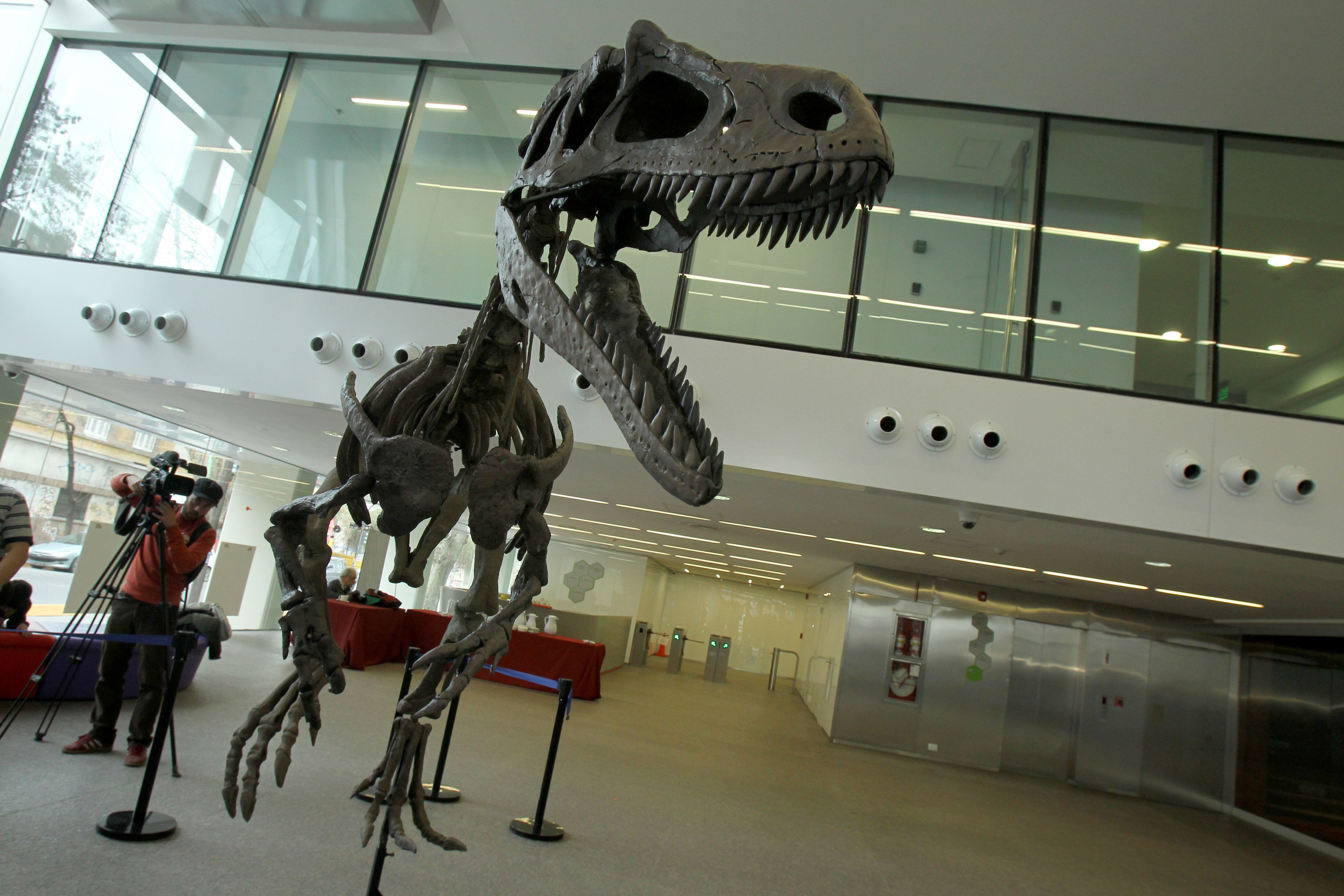BAS001. BUENOS AIRES (ARGENTINA), 13/07/2016.- Vista de hoy, 13 de julio de 2016, de la presentación de Gualicho shinyae, un insólito dinosaurio carnívoro que habitó en la Patagonia Argentina durante el periodo Cretácico Superior, en un evento realizado en Buenos Aires. Gualicho, un ejemplar fósil de un insólito dinosaurio carnívoro procedente de la Patagonia argentina, fue presentado después de un accidentado periplo en el que el esqueleto, hallado en 2007, incluso llegó a desaparecer tras volcar un camión que llevaba a los paleontólogos. EFE/Alberto Ortiz
