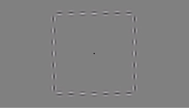 ilusion optica