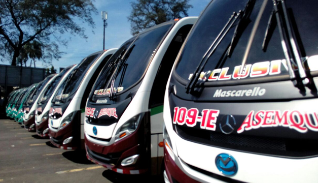 nuevos buses
