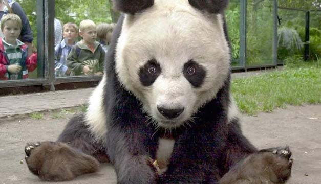 Bei Bei