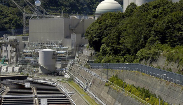 central nuclear -efe