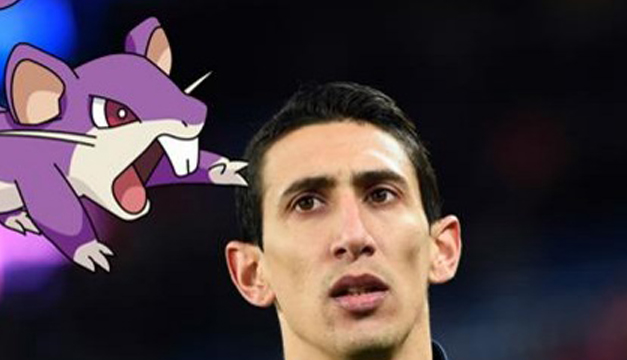 di-maria
