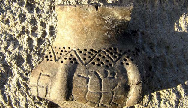 envastica-efe