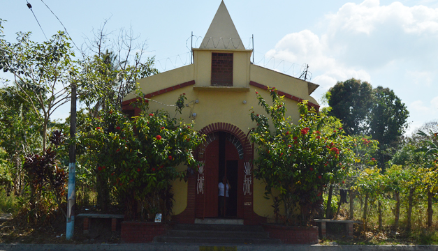 perulapia-1