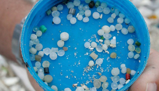 microplastico