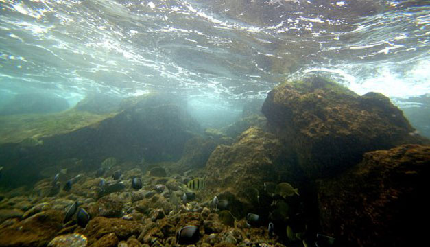 oceano