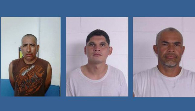 sujetos-detenidos-por-diversos-delitos