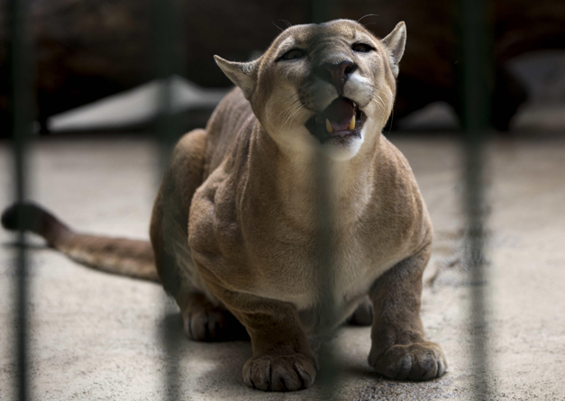 zoo-2