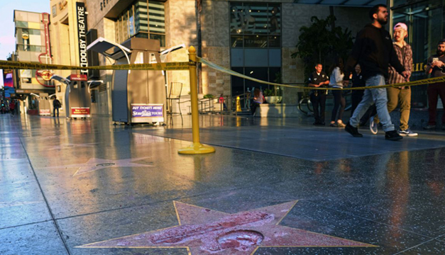 estrella-donald-trump