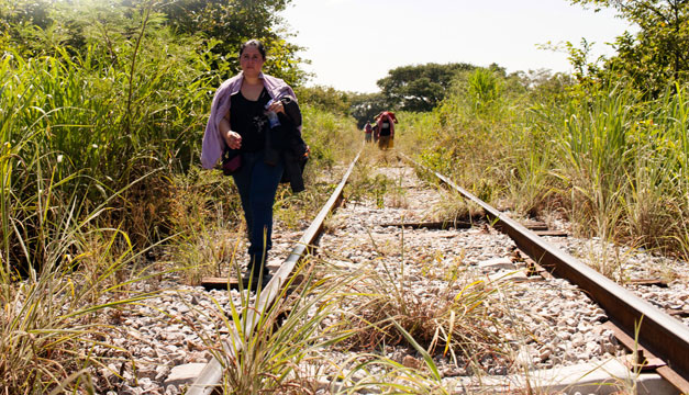 migrante