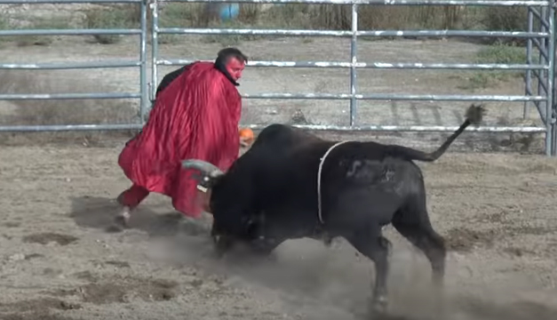 toro-demonio