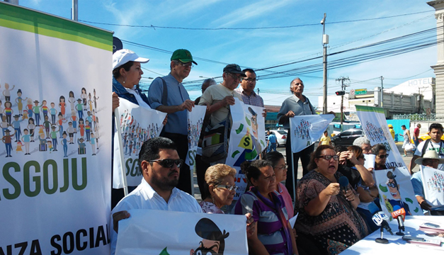 alianza-organizacion