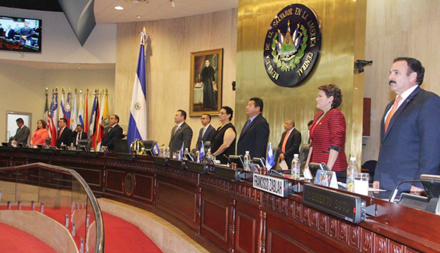 directiva-asamblea