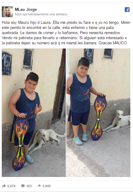 nino-patineta-perritos