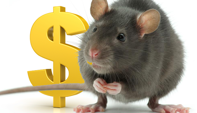 rata-dolar
